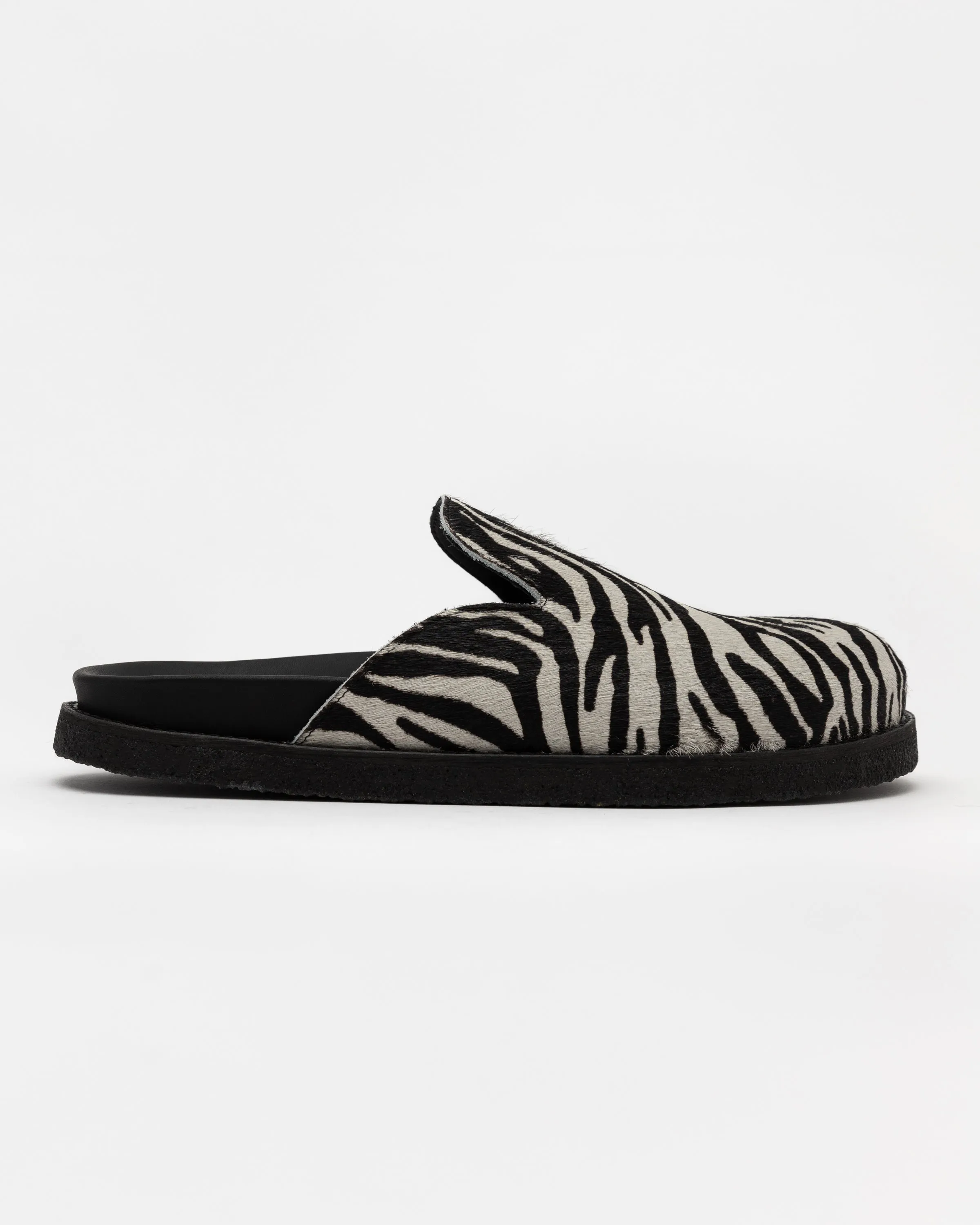 Mule in Zebra